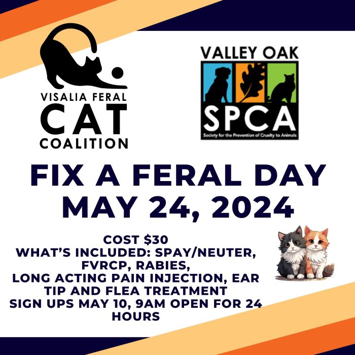 Fix A Feral Day april 24, 2024